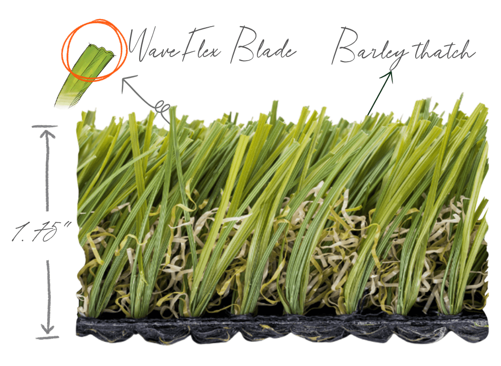 Natural Fescue®